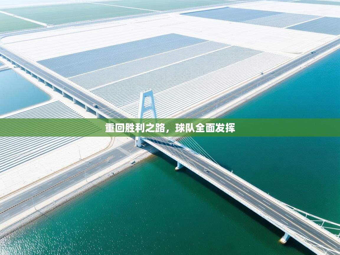 重回胜利之路，球队全面发挥  第2张