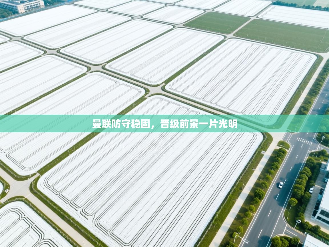 曼联防守稳固，晋级前景一片光明  第1张