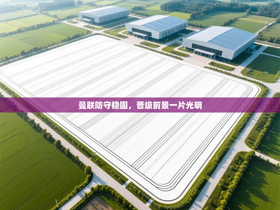 曼联防守稳固，晋级前景一片光明  第2张