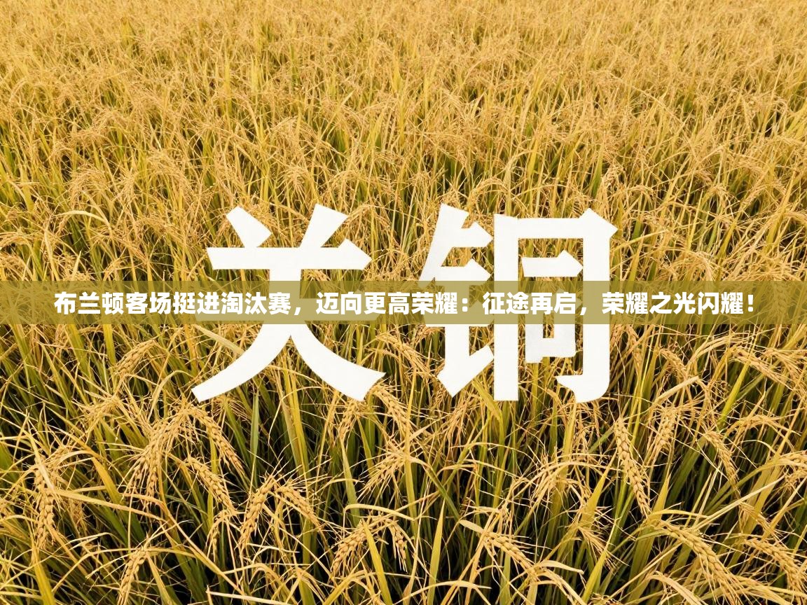 布兰顿客场挺进淘汰赛，迈向更高荣耀：征途再启，荣耀之光闪耀！  第1张